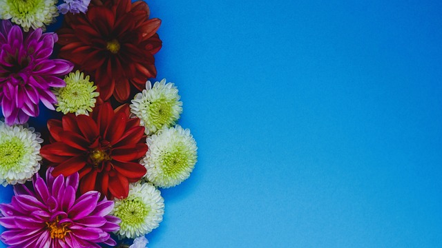 馬刺代理主帥闡述文班：在攻防兩端統治籃下才是他最重要的使命.