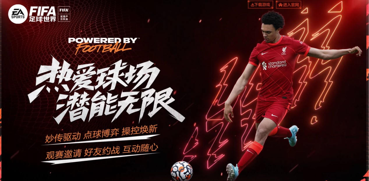 网络诈骗 网络诈骗