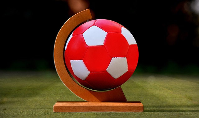 周跃龙与袁 周跃龙与袁