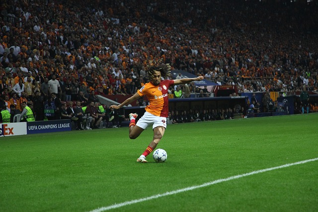 为了应对不 为了应对不