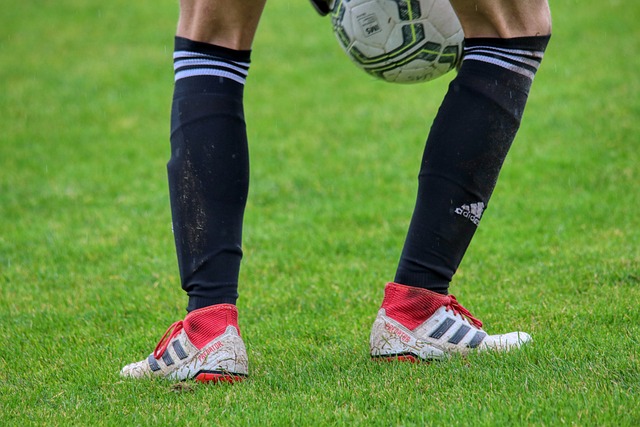 是雄鹿的得 是雄鹿的得