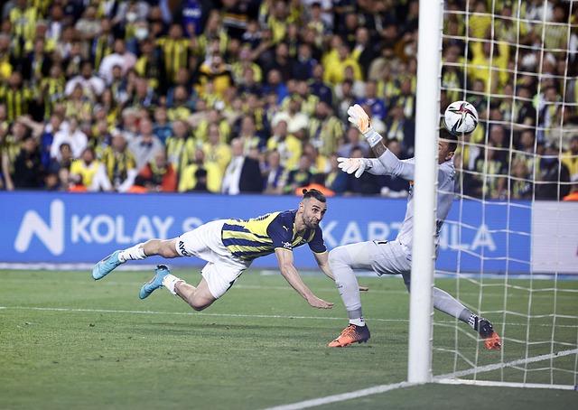 米的喀麦隆 米的喀麦隆