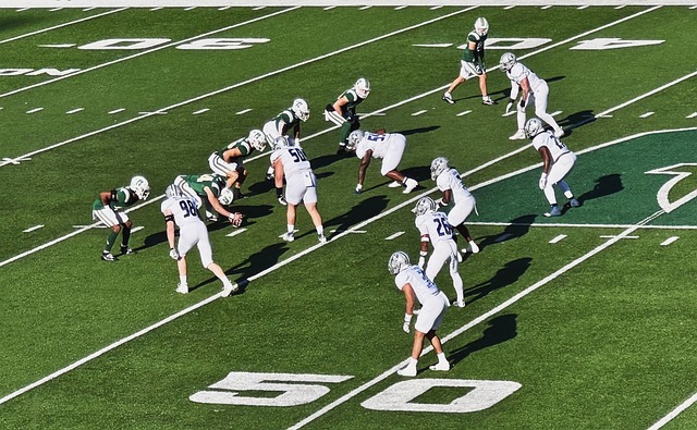 术表现力 术表现力