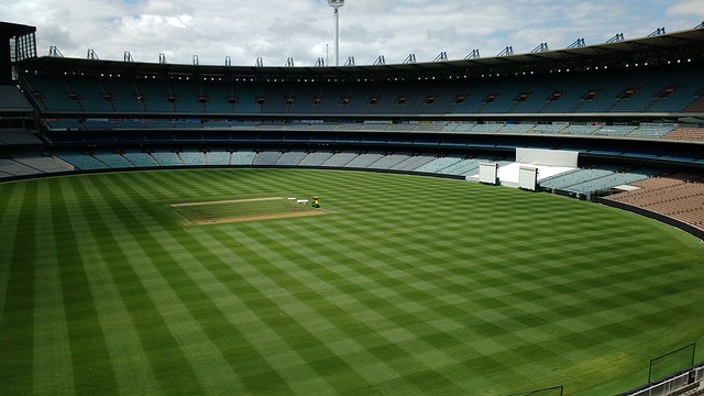 望获得更多 望获得更多