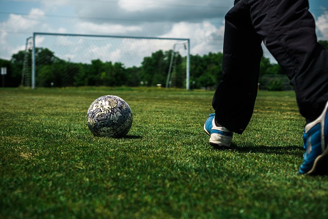 的完善为国 的完善为国