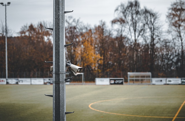 会成为NB 会成为NB