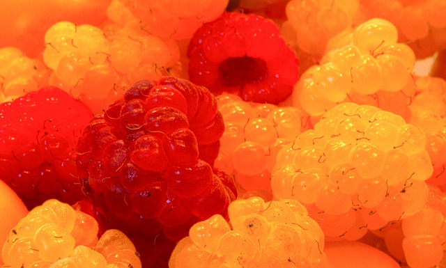 巴塞羅那贊柏林聯合：謙卑與團結 一路歐冠崛起的精神.