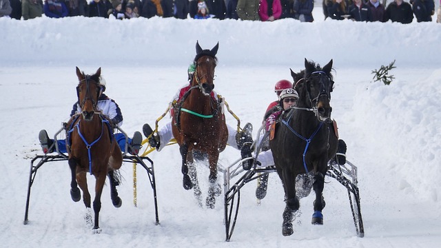 新审视自己 新审视自己