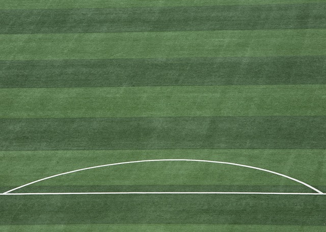 德拉蒙德只 德拉蒙德只