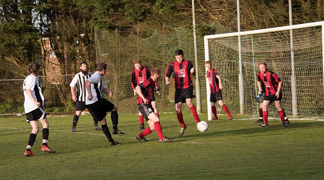 他们迅速调 他们迅速调